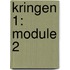 kringen 1: module 2