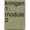 kringen 1: module 2 door Vleminckx