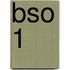 Bso 1