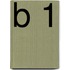 B 1