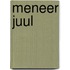 Meneer Juul