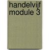 Handelvijf module 3 door Onbekend