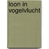 Loon in vogelvlucht