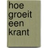 Hoe groeit een krant