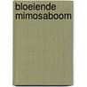 Bloeiende mimosaboom by Cleemput