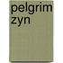 Pelgrim zyn