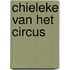 Chieleke van het circus
