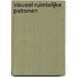 Visueel-ruimtelijke patronen