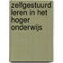 Zelfgestuurd leren in het hoger onderwijs