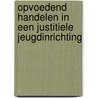 Opvoedend handelen in een justitiele jeugdinrichting by E.H.M. Wigboldus