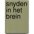 Snyden in het brein