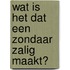 Wat is het dat een zondaar zalig maakt?