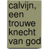 Calvijn, een trouwe knecht van God by H. van Dam
