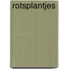 Rotsplantjes by J.J. Poort