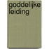 Goddelijke leiding