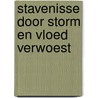 Stavenisse door storm en vloed verwoest door Smits