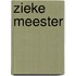 Zieke meester