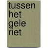 Tussen het gele riet by Hulst