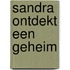 Sandra ontdekt een geheim