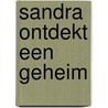 Sandra ontdekt een geheim door L. Buth-Villerius