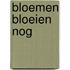 Bloemen bloeien nog