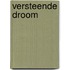 Versteende droom