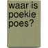 Waar is Poekie Poes?