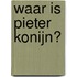 Waar is Pieter Konijn?