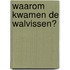 Waarom kwamen de walvissen?