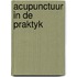 Acupunctuur in de praktyk