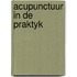 Acupunctuur in de praktyk