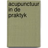 Acupunctuur in de praktyk door Kan