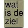 Wat is de ziel by P. Langedijk