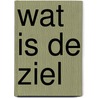 Wat is de ziel door P. Langedijk