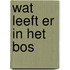Wat leeft er in het bos