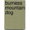 Burness Mountain Dog door Verhoef-Verhall, E