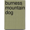 Burness Mountain Dog by Verhoef-Verhall, E