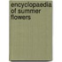 Encyclopaedia Of Summer Flowers