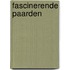Fascinerende paarden