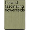 Holland fascinating flowerfields by Amsterdam