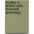Studies in British Celtic historical phonology