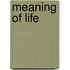 Meaning of life