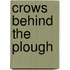 Crows behind the plough