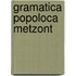Gramatica popoloca metzont
