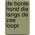 De Bonte Hond die langs de zee loopt