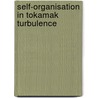 Self-organisation in tokamak turbulence door E. Min