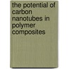 The potential of carbon nanotubes in polymer composites by P. Ciselli