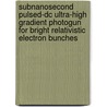 Subnanosecond pulsed-DC ultra-high gradient photogun for bright relativistic electron bunches by D. Vyuga