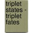 Triplet states - triplet fates