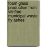 Foam glass production from vitrified municipal waste fly ashes by A.C. Steiner